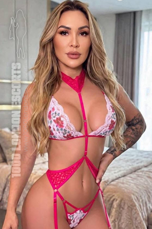 34C Gym Girl London Escort